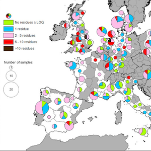 EU soil map