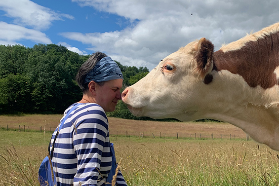 Farmer with cow - cow looks like it's kissing the person