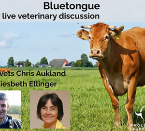 Bluetongue-Live-Vetinary-Discussion-Small-Whole-Health-Agriculture