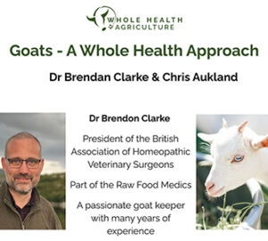 Goats A Whole Health Approach Small