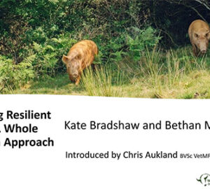 Resilient-Pigs-Small-Whole-Health-Agriculture